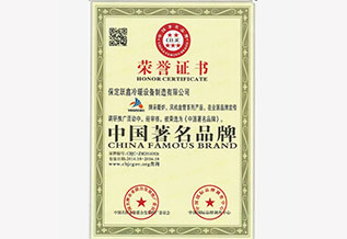 中國(guó)著名品牌榮譽(yù)證書